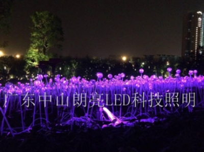 光纤芦苇灯-萤火虫灯 GX-41