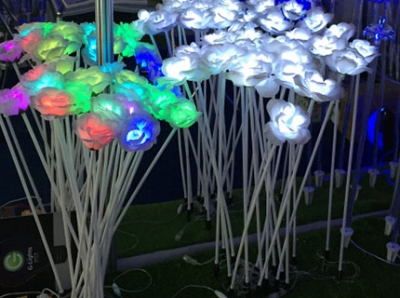 LED玫瑰花、星空体育app下载花