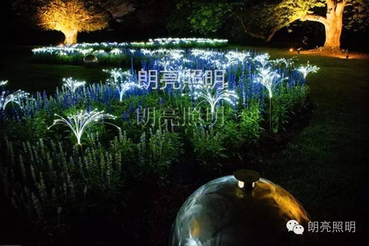 星空体育app下载
14.jpg