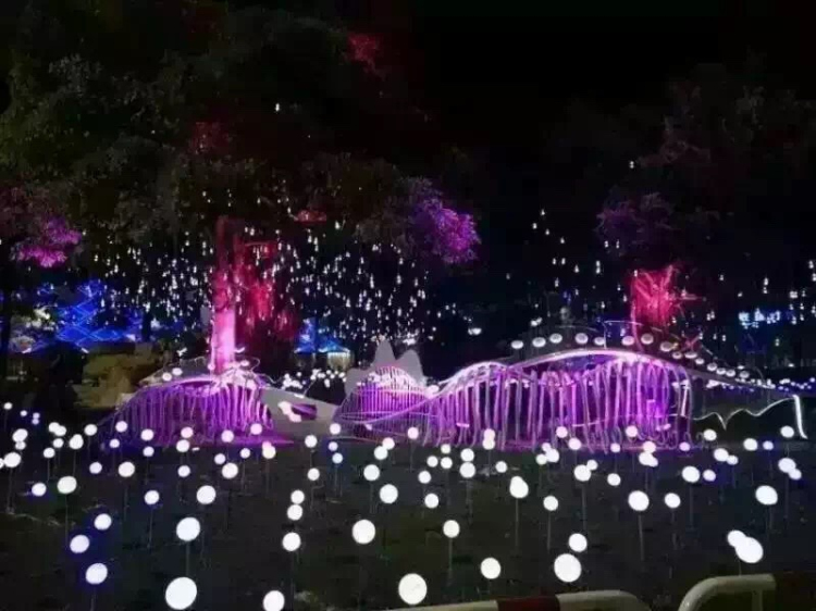光纤灯4.jpg