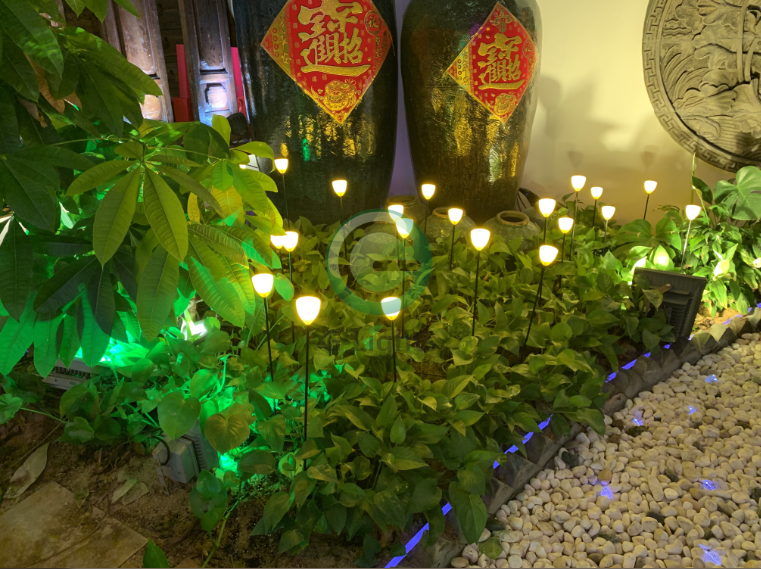 LED芦苇灯