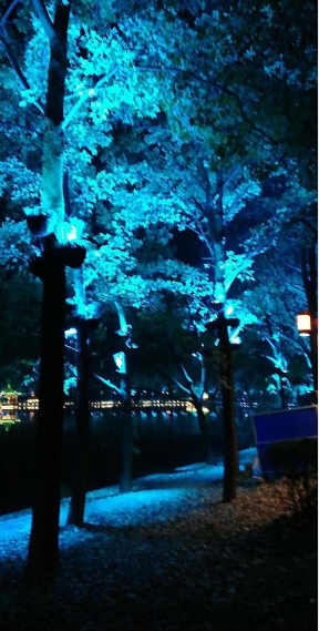 LED投光灯