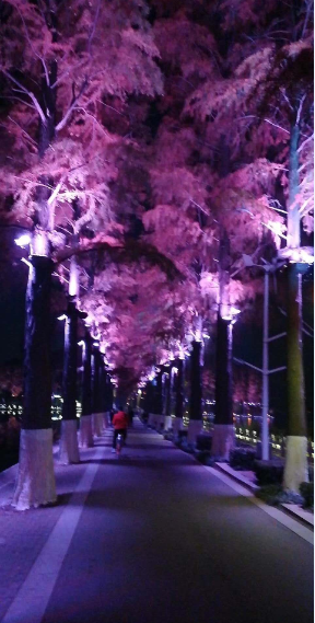 LED投光灯